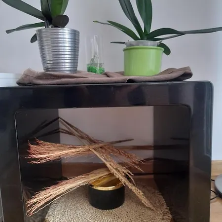 Mancic Apartamento Pirot