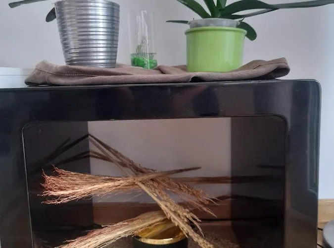 Mancic Apartamento Pirot